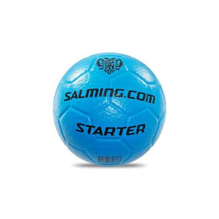  Starter 